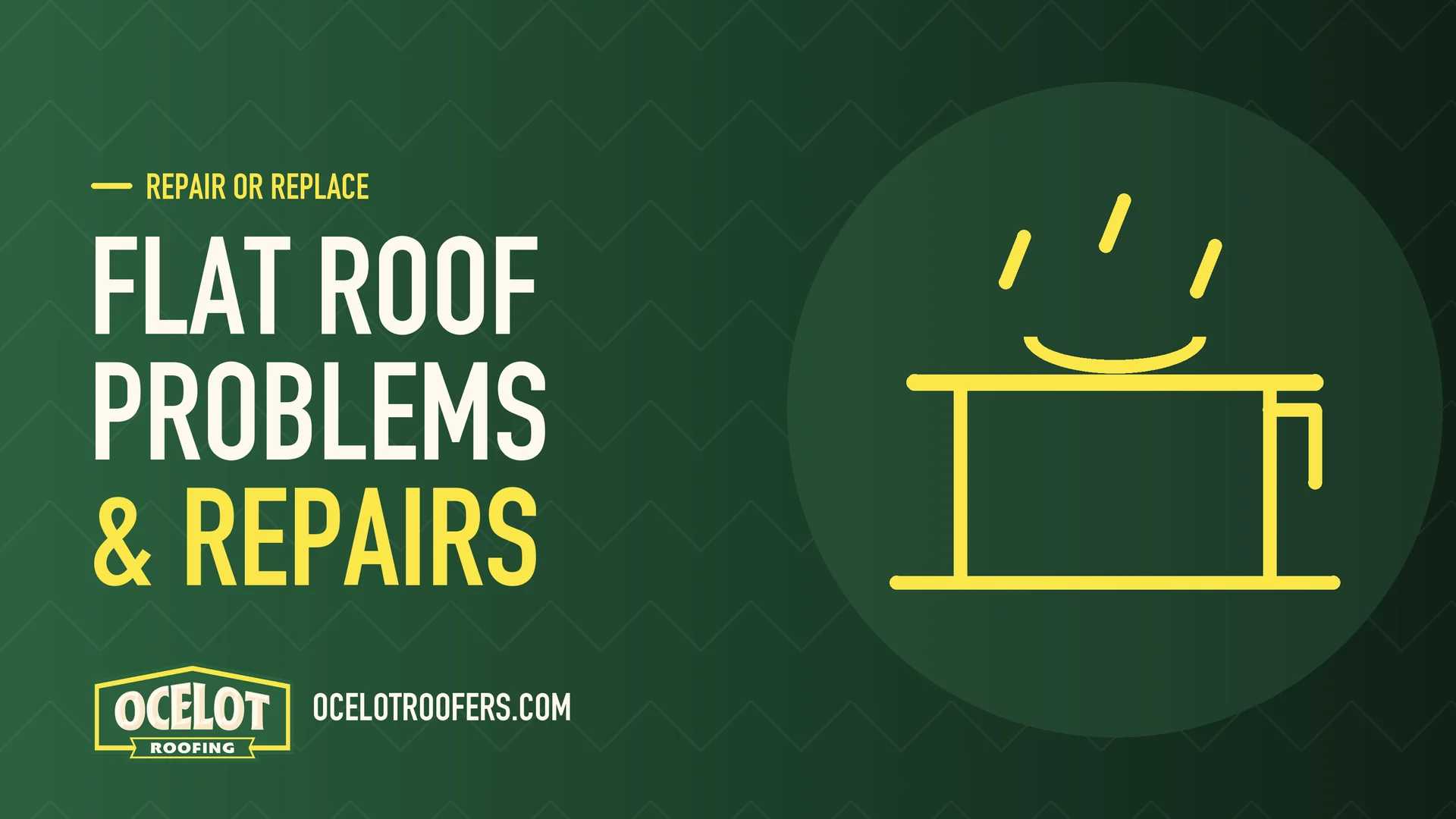 Ocelot Roofing guide graphic: Flat roof problems & repairs