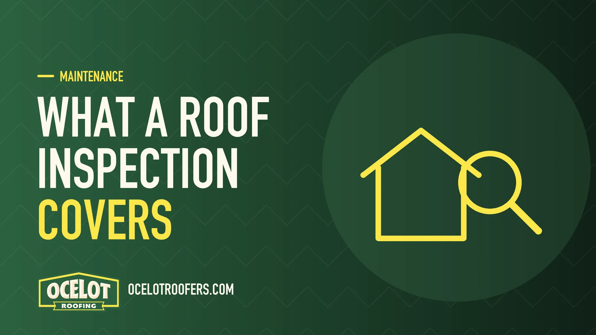 Ocelot Roofing guide graphic: What a roof inspection covers